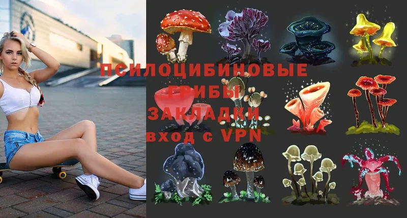 Галлюциногенные грибы MAGIC MUSHROOMS  Западная Двина 